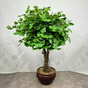 product-nav-img