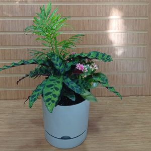  Manavgat Çiçek Siparişi - BF-481