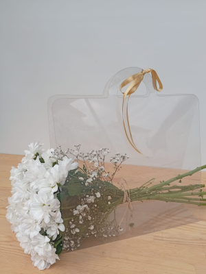  Manavgat Çiçek Siparişi - Şeffaf Çantalı Papatya Demeti 