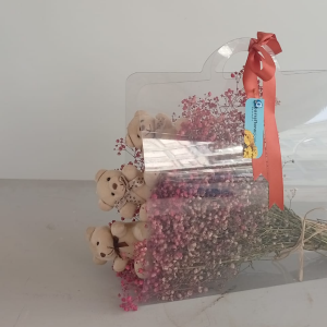  Manavgat Çiçek Gönder - Şeffaf Çantada Cipsolu Sevimli Ayıcık  
