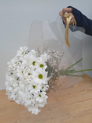  Manavgat Çiçek Gönder - Şeffaf Çantalı Papatya Demeti 