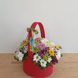 Manavgat Çiçekçi - Sepetli Kasımpatı Arajmanı 