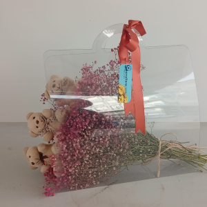  Manavgat Çiçek Gönder - Şeffaf Çantada Cipsolu Sevimli Ayıcık  