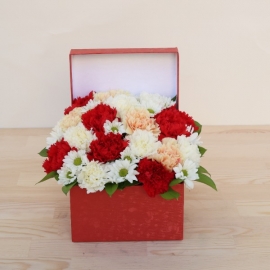 product-details