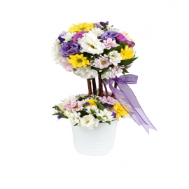 product-details