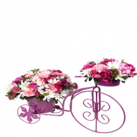 product-details