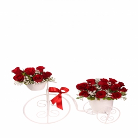 product-details