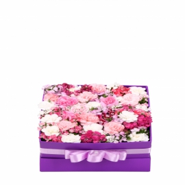 product-details