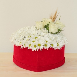 product-details