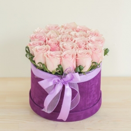 product-details