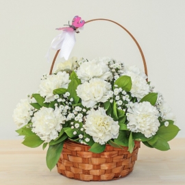 product-details