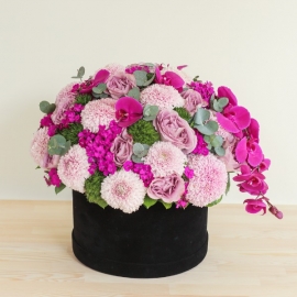 product-details