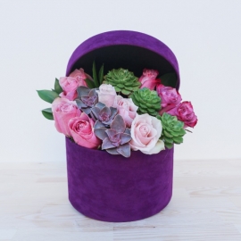 product-details