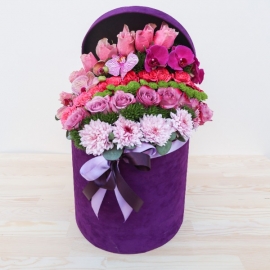 product-details