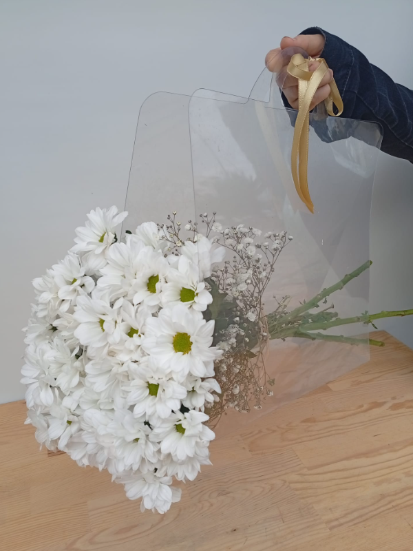  Manavgat Çiçek Gönder - Şeffaf Çantalı Papatya Demeti 